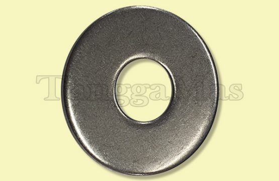 Washer Aro 1 Inch series 0.505" ID Type 666...