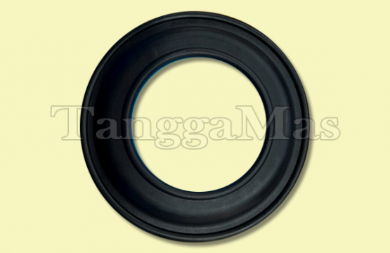 Diaphragm Wilden Model T15 3 Inch (Metal)