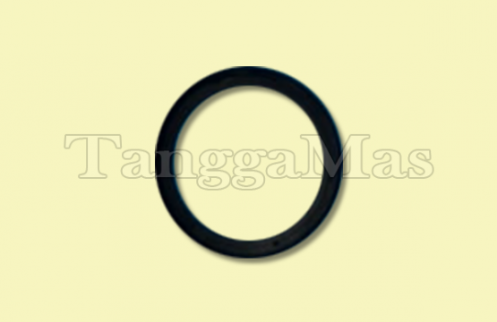 Center Block Glyd™ Ring Wilden Model T15  3 Inch (Metal)