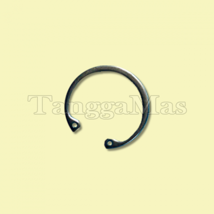 Snap Ring Wilden Model T2 1 Inch (Metal & Non Metal)