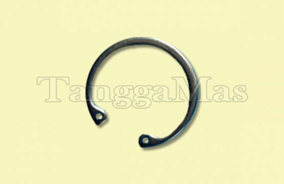 Snap Ring Wilden Model T2 1 Inch (Metal & Non Metal)