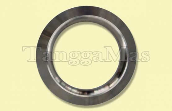 Valve Seat for Wilden 2 Inch Model T8 (Metal)