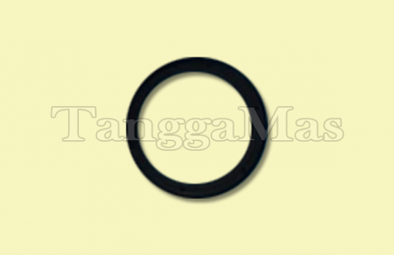 Center Block Glyd™ Ring for Wilden 2 Inch Model T8 (Metal & Non Metal)