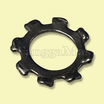 Lock Washer for ARO Pump 2 inch series 1/4"