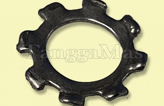 Lock Washer for ARO Pump 2 inch series 1/4"