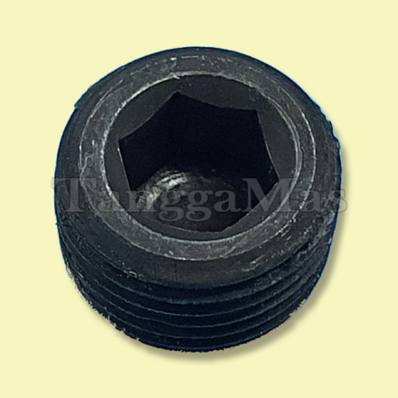 Pipe Plug Aro series 1/2-14 PTF x 17/32"