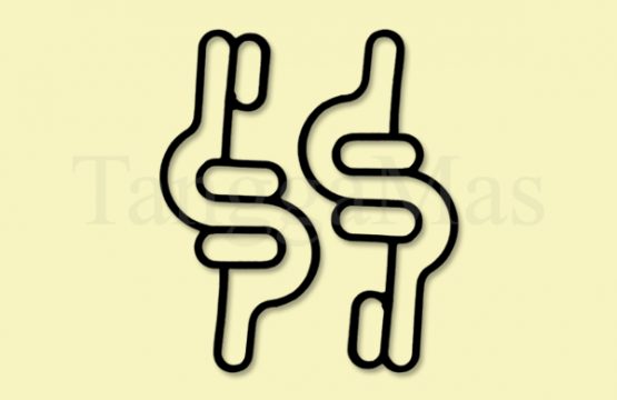 Gasket Air Valve Wilden 01-2615-52 | Type P200